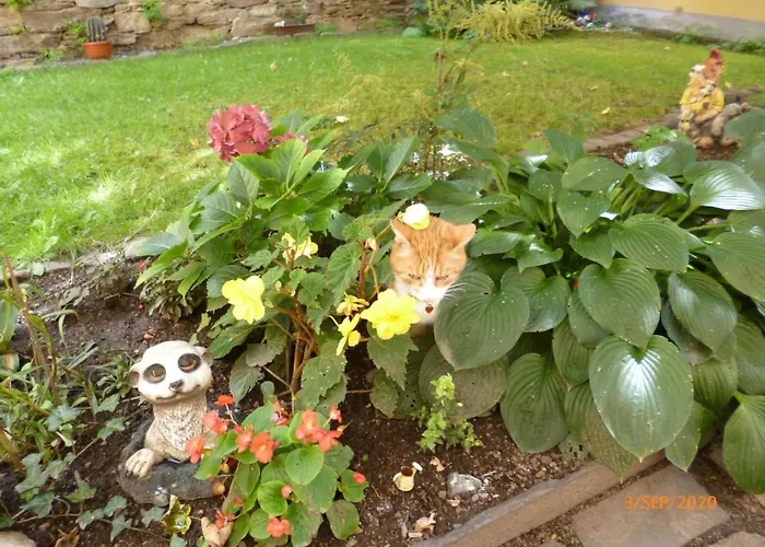 Im Vierseitenhof By Interhome